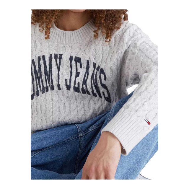 Tommy Hilfiger Heren tommy jeans sweater top UTNA1298_grey large