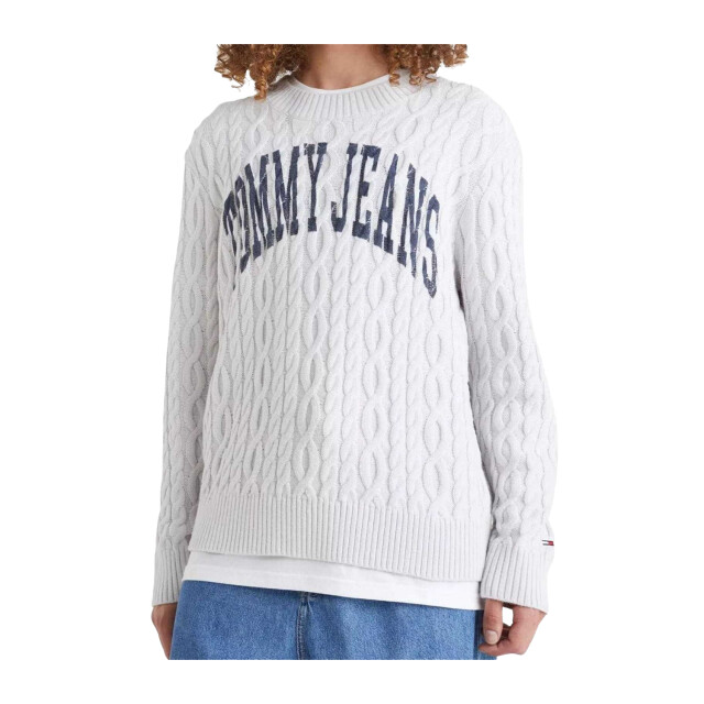 Tommy Hilfiger Heren tommy jeans sweater top UTNA1298_grey large