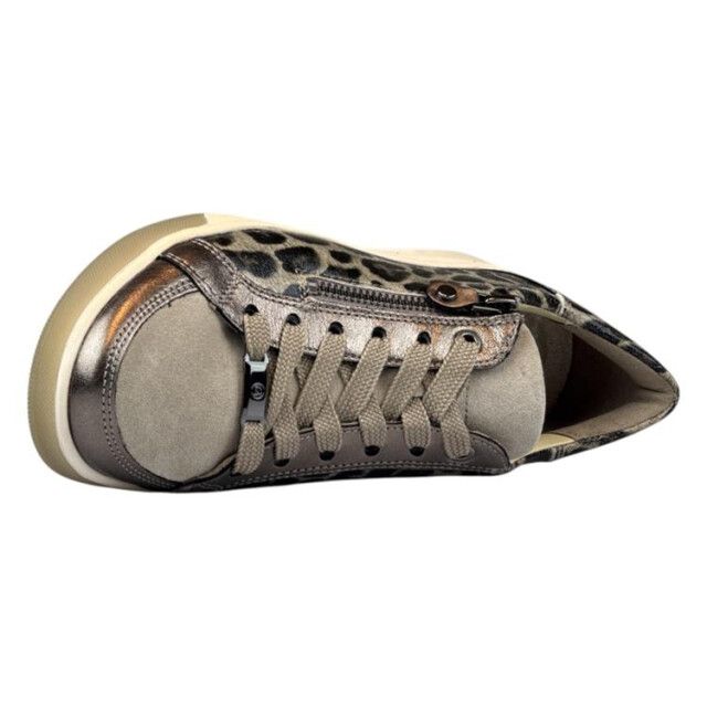 Ara 12-34432 rom 12-34432 Rom large