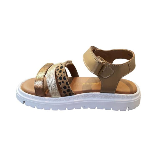 Braqeez 425420 425420 large