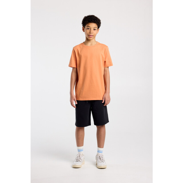 America Today Sevan jr 3142002356 100 large