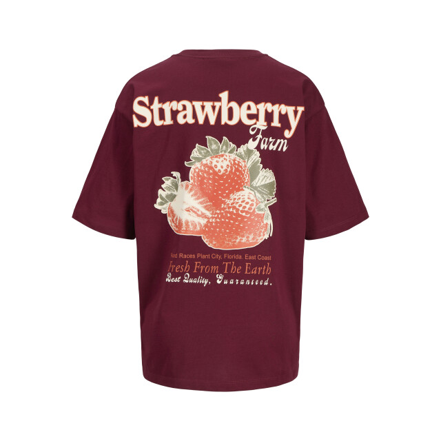 Jack & Jones Jxsandra loose ss tee jrs 12283783 large