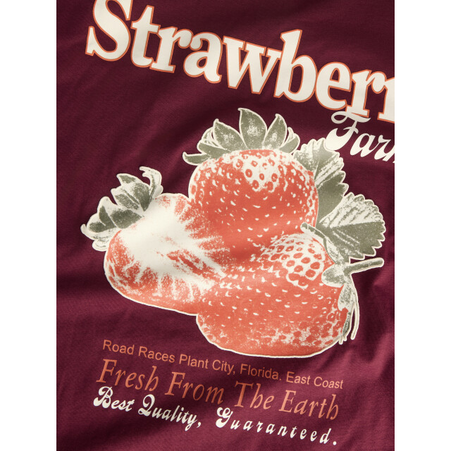 Jack & Jones Jxsandra loose ss tee jrs 12283783 large