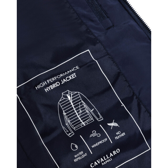 Cavallaro Cavallaro jack 108808-001-XL large