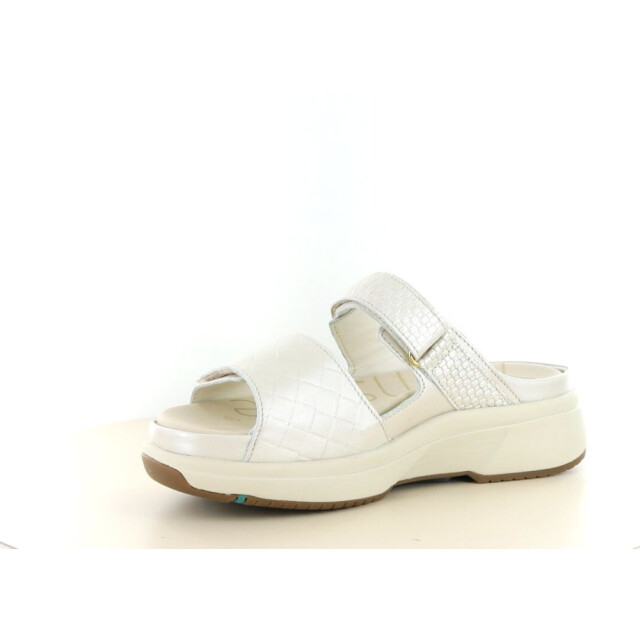 Xsensible 281.40.297 Slippers Taupe 281.40.297 large