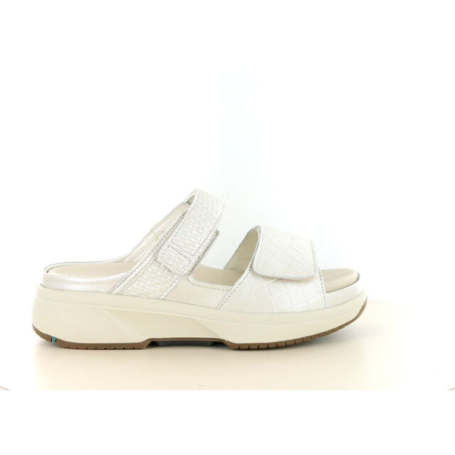 Xsensible 281.40.297 Slippers Taupe 281.40.297 large