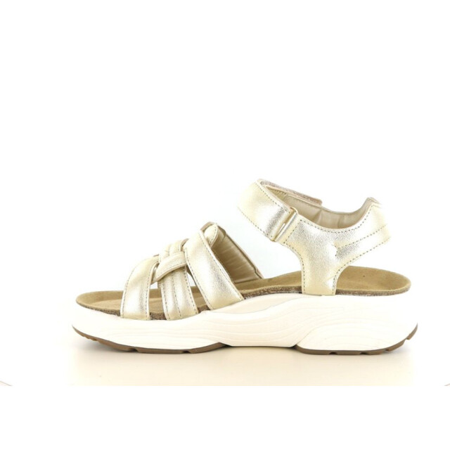 Xsensible 290.97.029 Sandalen Goud 290.97.029 large
