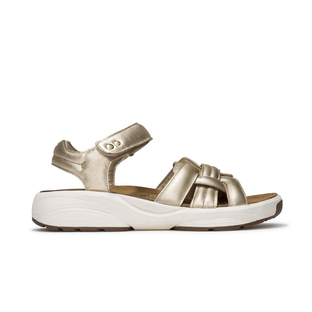 Xsensible 30804.5.911 Sandalen Brons 30804.5.911 large