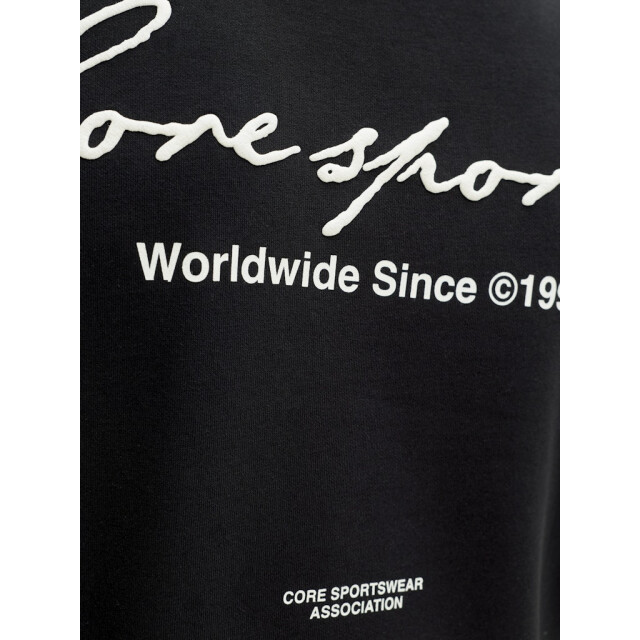 Jack & Jones Jcodust script sweat crew neck - 5209.80.0031 large