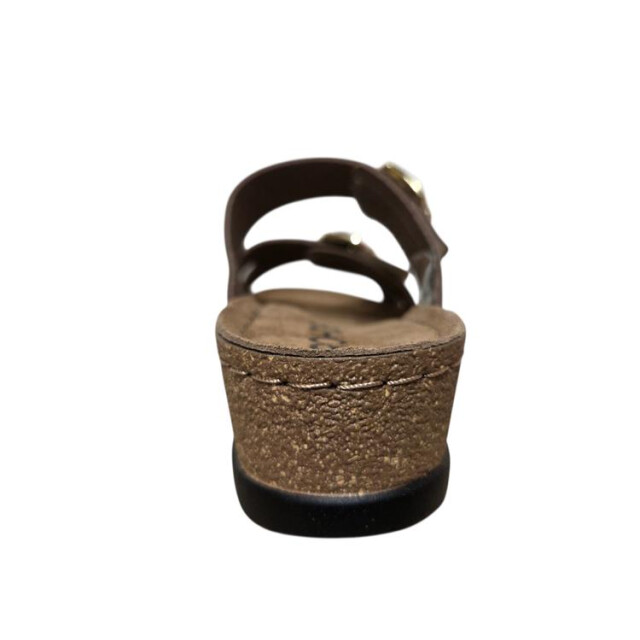 Rohde 5430 5430 large