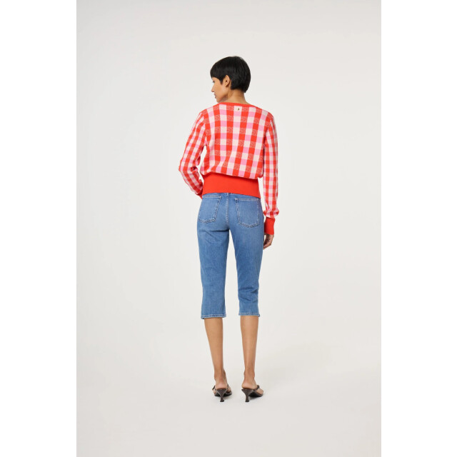 Fabienne Chapot Camille cardigan CLTCAR09SS260243-0243 large