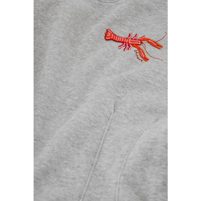 Fabienne Chapot Dhelia sweater CLTSWE03SS269523-9523 large