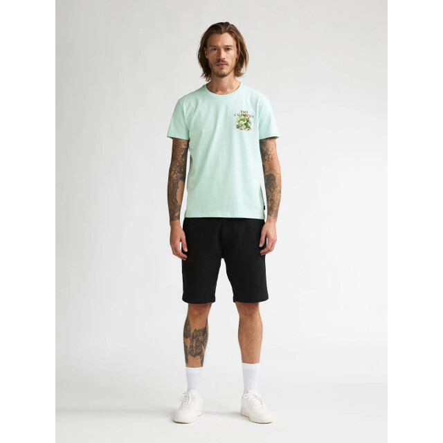 Petrol Industries Heren shirt m-1060-tsr688 6181 cool mint Petrol M 1060 TSR688 6181CoolMint large