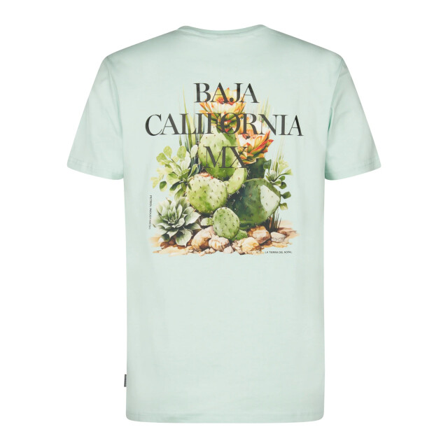 Petrol Industries Heren shirt m-1060-tsr688 6181 cool mint Petrol M 1060 TSR688 6181CoolMint large