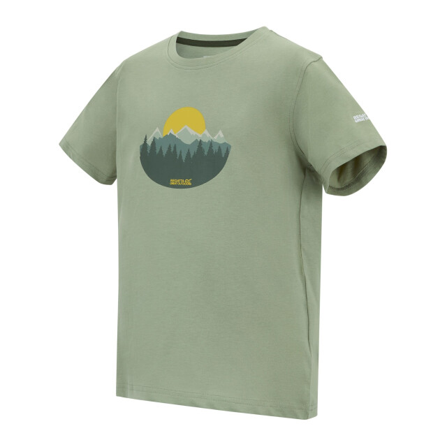 Regatta Kinderen/kinderen bosley sunset t-shirt UTRG12861_sagegreen large