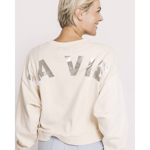 Zhrill Sweat zs088-n096 zhute Zhrill Sweat ZS088-N096 ZHUTE large