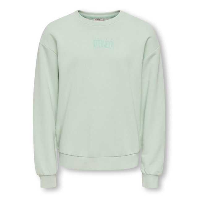 Only Kogphilea life ls loose sweater mint 2209.21.0002 large