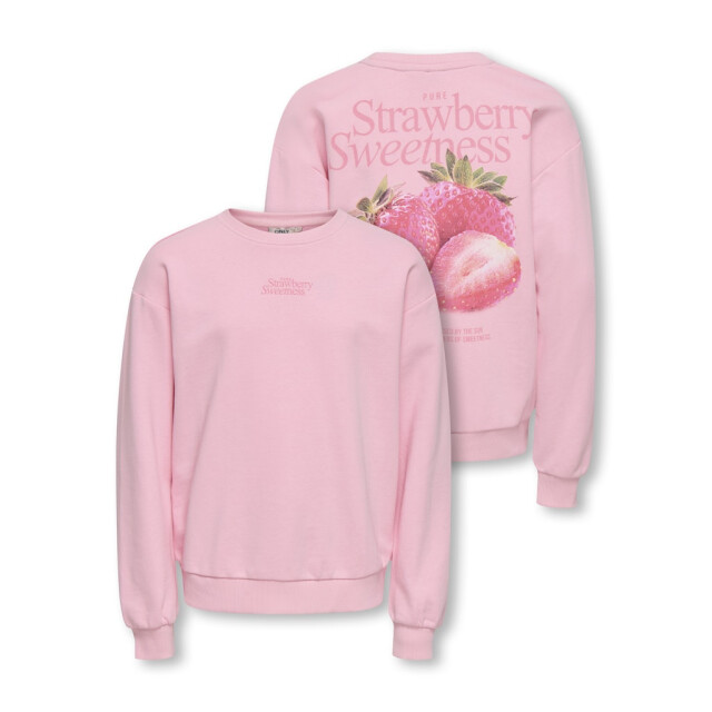 Only Kogphilea life ls loose sweater licht 2209.61.0004 large