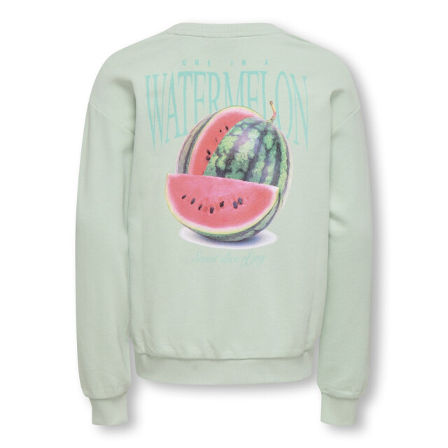 Only Kogphilea life ls loose sweater mint 2209.21.0002 large
