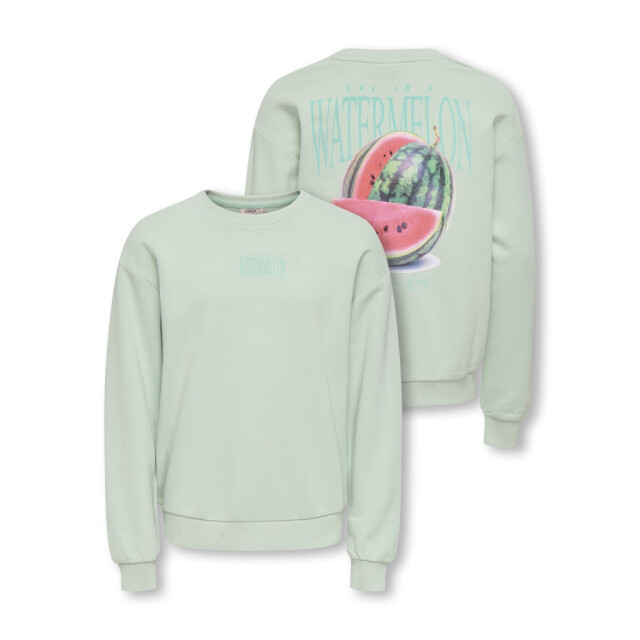 Only Kogphilea life ls loose sweater mint 2209.21.0002 large