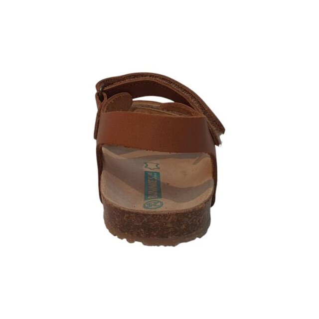 Bunnies Jr. 2415 225415 large