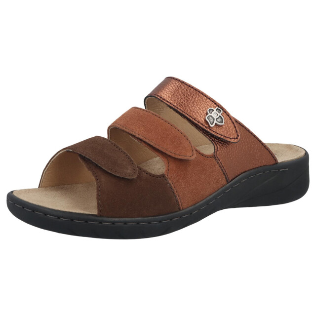 Solidus Wellness spezial 20141-30795 large