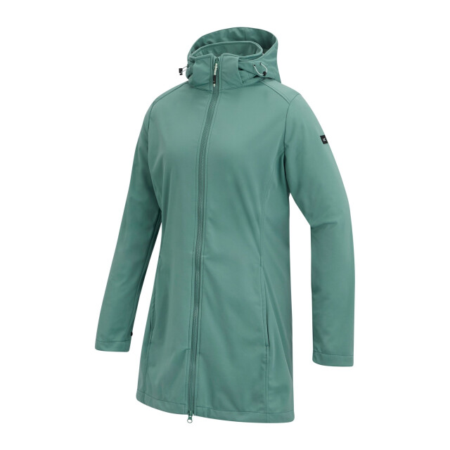 Regatta Dames carisbrooke softshell waterdichte jas UTRG12842_ivymoss large
