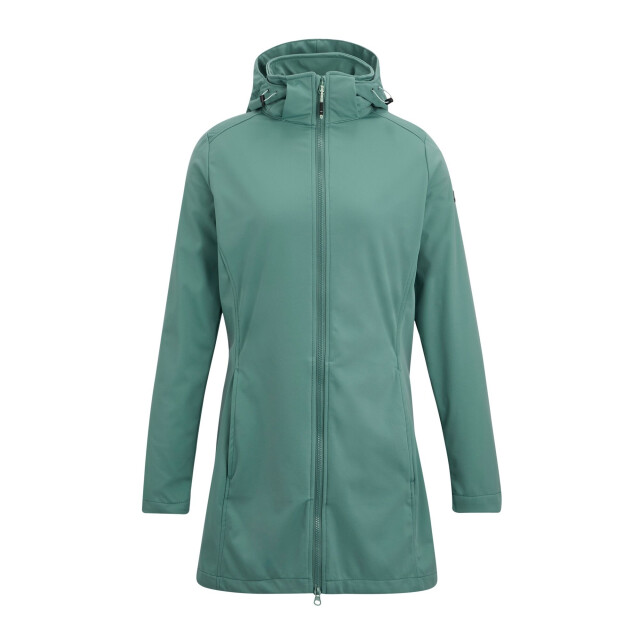 Regatta Dames carisbrooke softshell waterdichte jas UTRG12842_ivymoss large