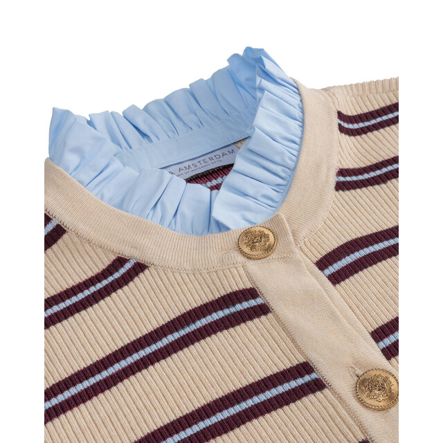 Amaya Amsterdam Vest 261-33 nia Amaya Amsterdam Vest 261-33 Nia large