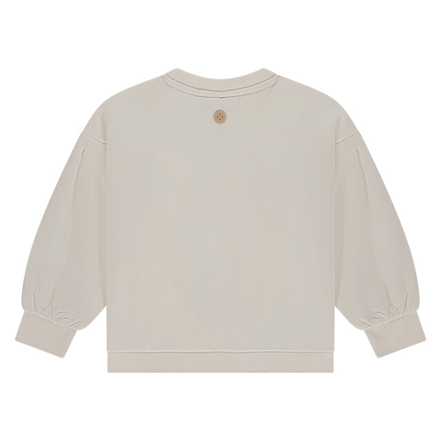 Stains & Stories  Ssa26108404  SSA26108404  large