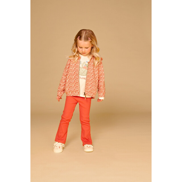 Stains & Stories  Ssa26108600  SSA26108600  large