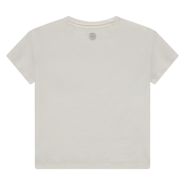 Stains & Stories  Ssa26108614  SSA26108614  large