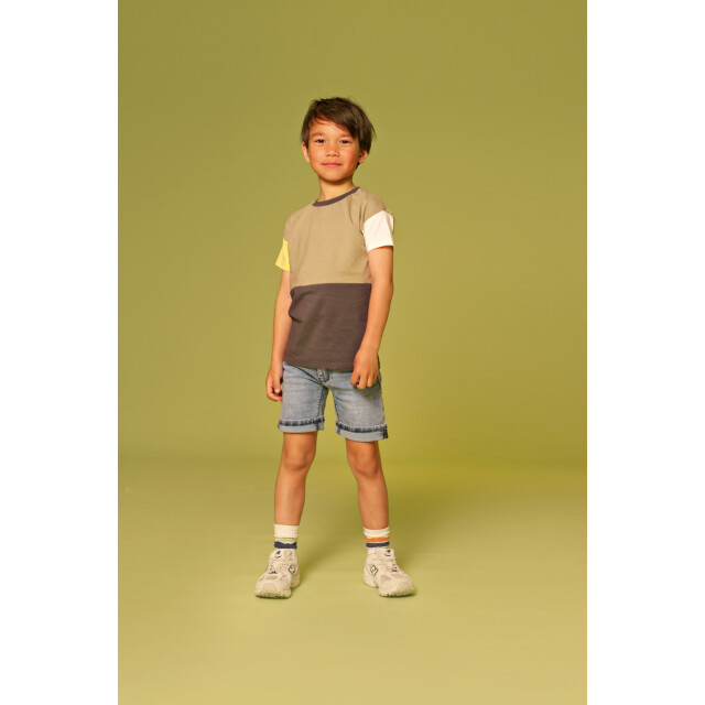 Stains & Stories  Ssa26107215  SSA26107215  large