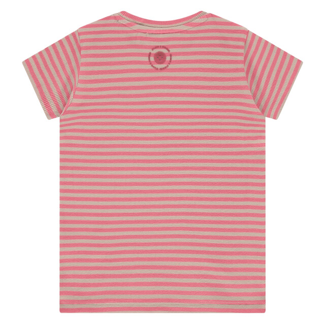 Stains & Stories  Ssa26108616  SSA26108616  large