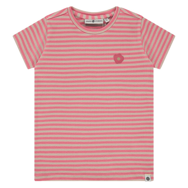 Stains & Stories  Ssa26108616  SSA26108616  large