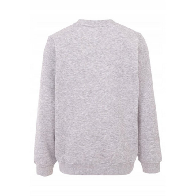 Kappa Kinder/kinder sertum sweatshirt UTPP11222_grey large