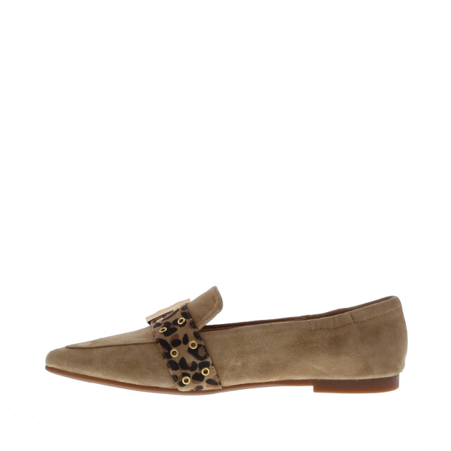 Di Lauro Diomira spits gespband | maat: | kleur: | dames loafers | materiaal: suède 111084 large