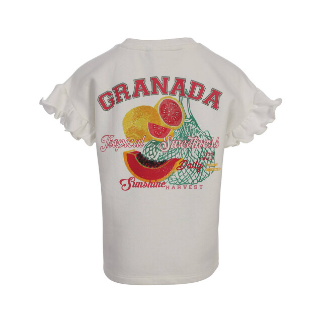 Looxs Revolution T-shirt 2612-7344-004 Looxs Little T-shirt 2612-7344-004 large