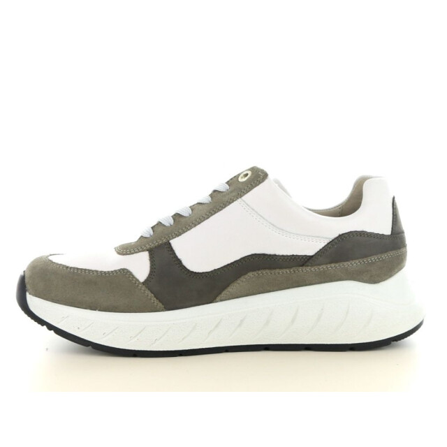 Solidus 71122 wijdte h/k 131.80.334 large