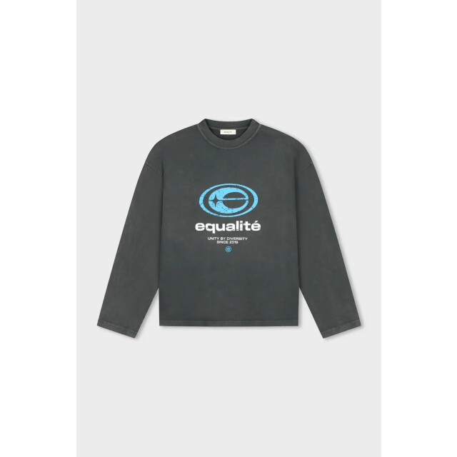 Equalité Elan oversized longsleeve tee washed 161875931 large