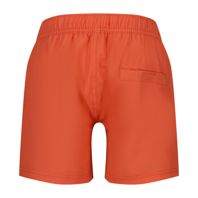 Raizzed Roha koraal 3729.42.0001 large