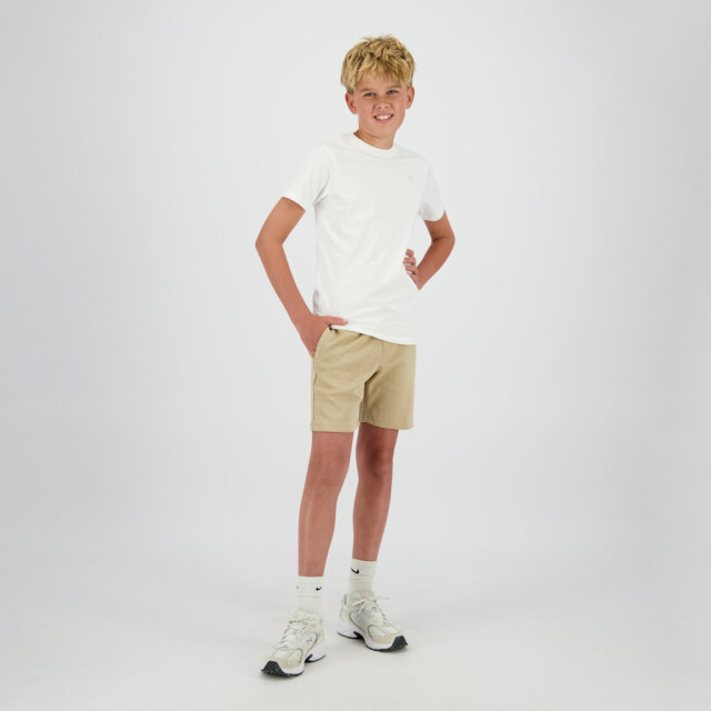 Raizzed Holdo - 3339.01.0001 large