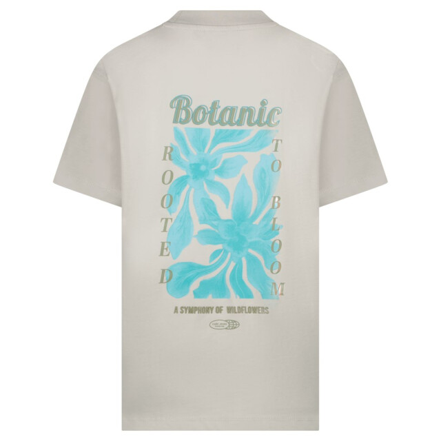 Cars Kids pluyo ts backprint navy beige 3339.05.0013 large