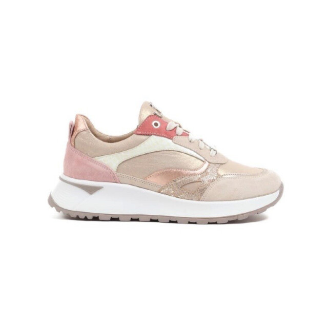 Footnotes 25.005.2524 25.005.2524 large