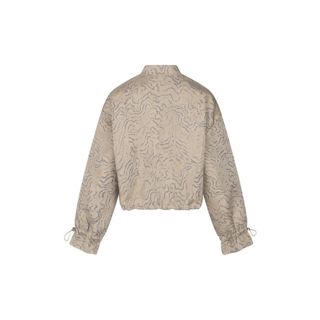 Lofty Manner Jacket brienna zilverkleurig 4279.97.0001 large