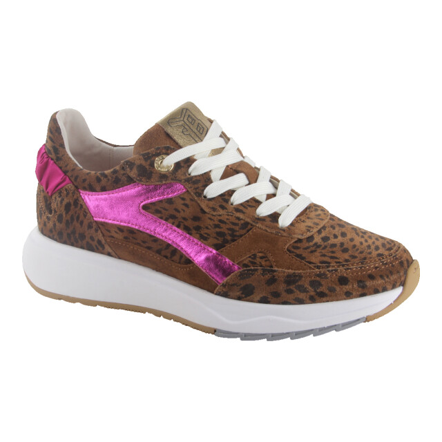 Floris van Bommel Floris Van Bommel SFW-10156-23-01 Sneakers Bruin Floris Van Bommel SFW-10156-23-01 large