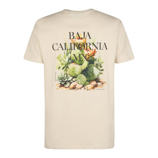 Petrol Industries Men t-shirt ss M-1060-TSR688 large