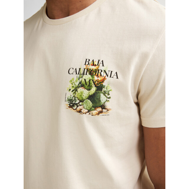 Petrol Industries Men t-shirt ss M-1060-TSR688 large