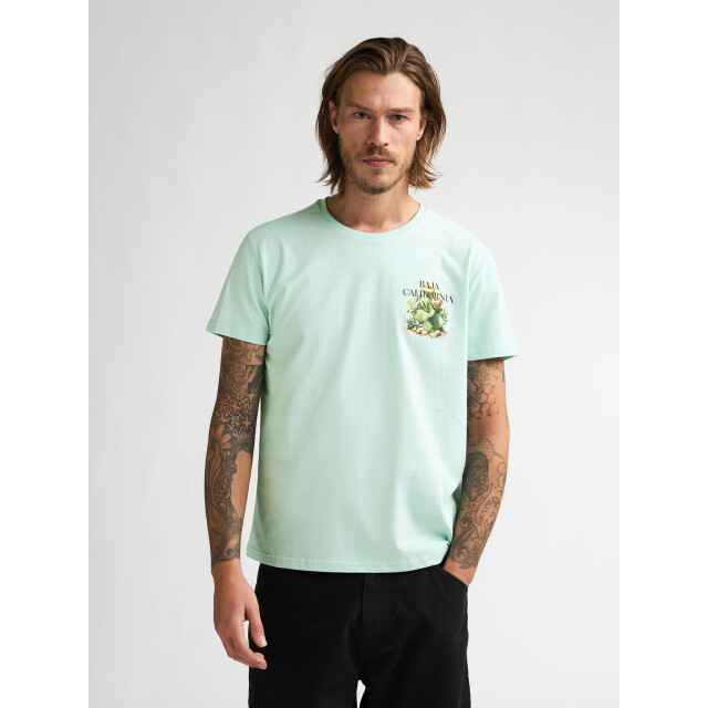 Petrol Industries Men t-shirt ss M-1060-TSR688 large