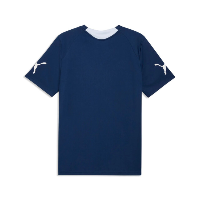 Puma individualfinal jersey voetbalshirt korte mouw heren - 072397_200-L large